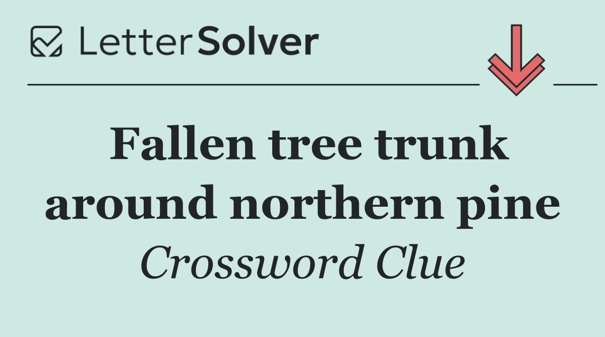 Fallen tree trunk around northern pine