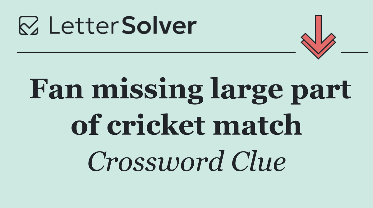 Fan missing large part of cricket match
