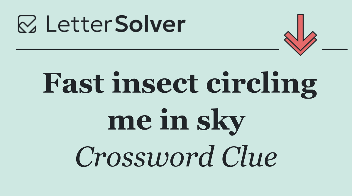 Fast insect circling me in sky