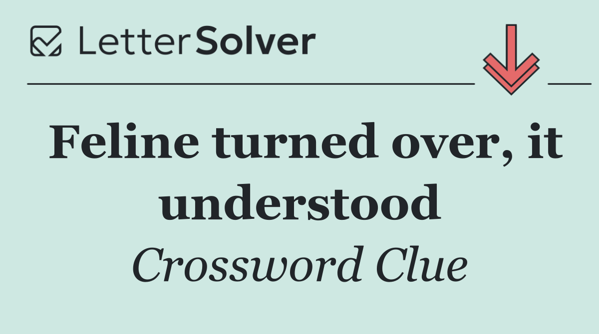 Feline turned over, it understood