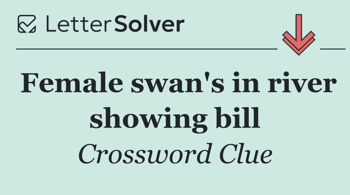 Female swan's in river showing bill