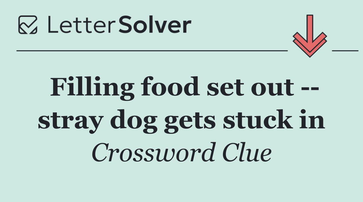 Filling food set out    stray dog gets stuck in