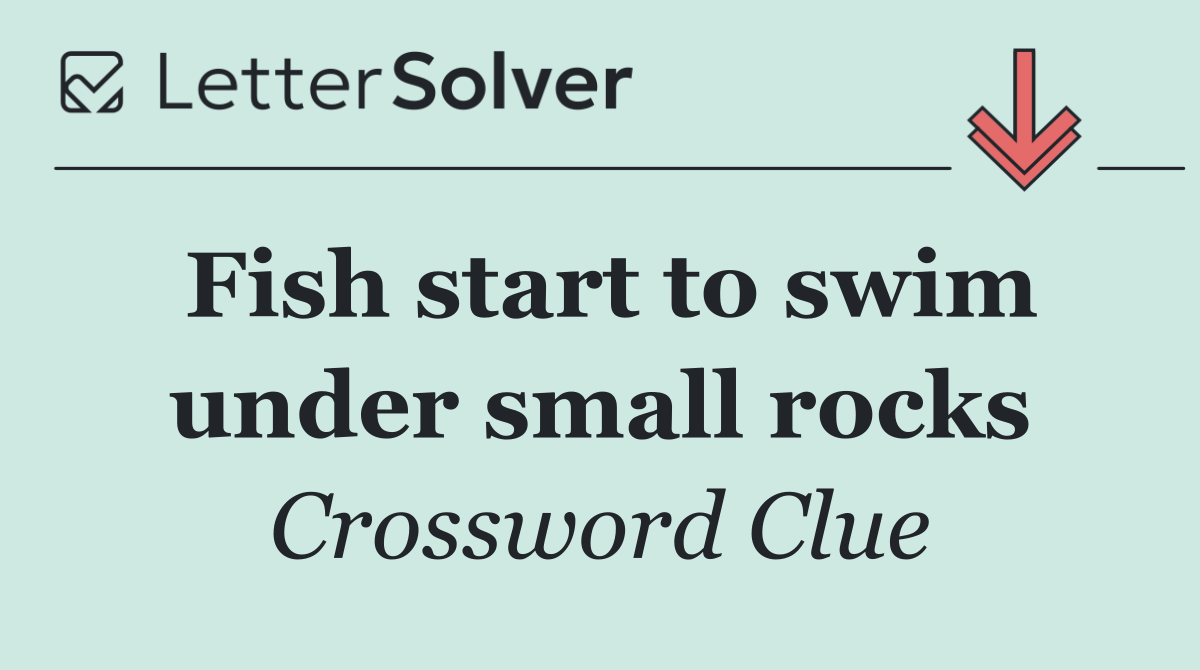 Fish start to swim under small rocks