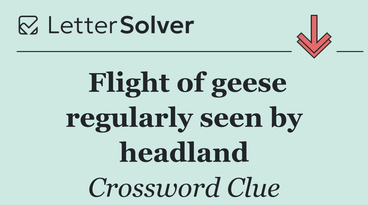 Flight of geese regularly seen by headland