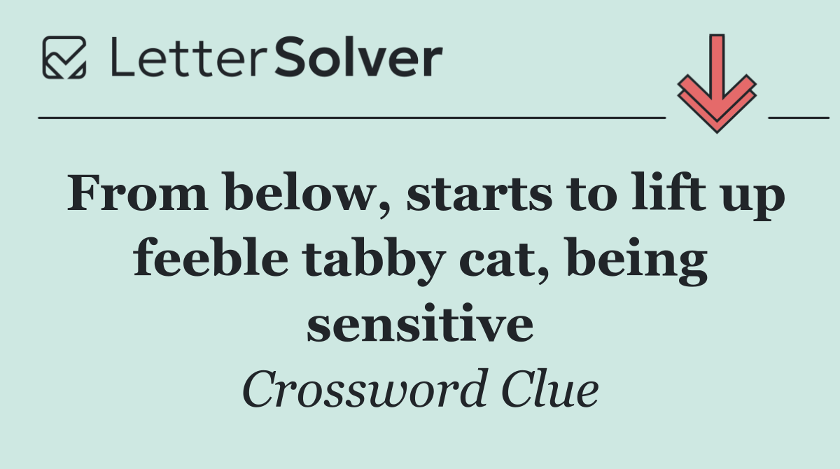 From below, starts to lift up feeble tabby cat, being sensitive