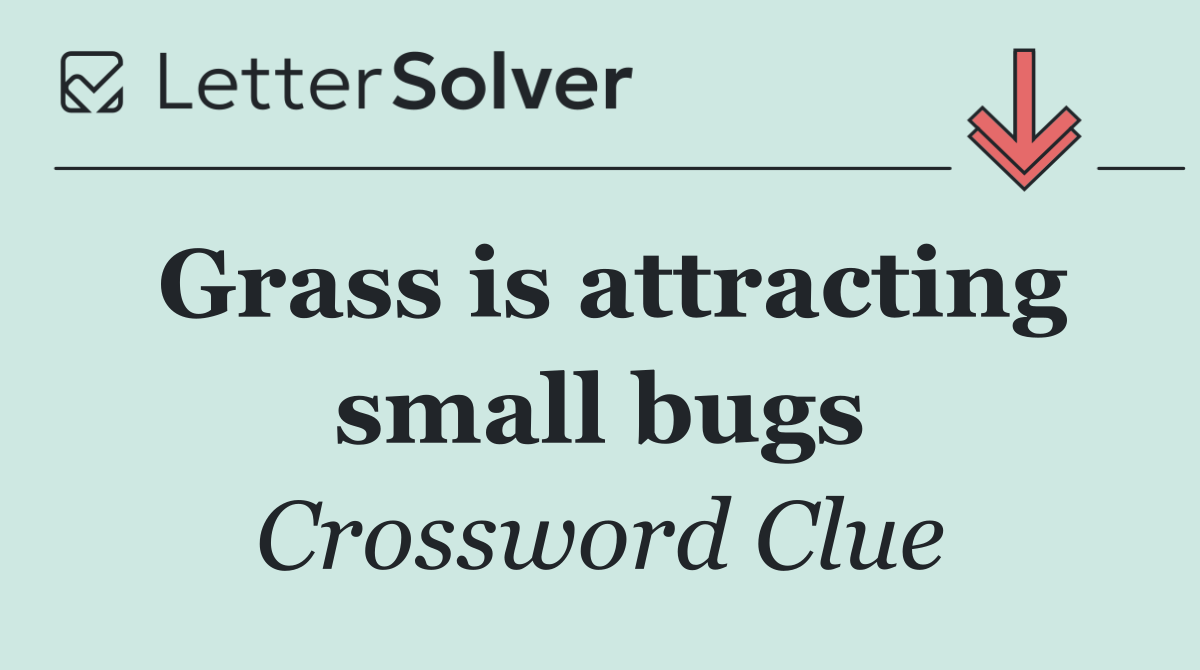 Grass is attracting small bugs
