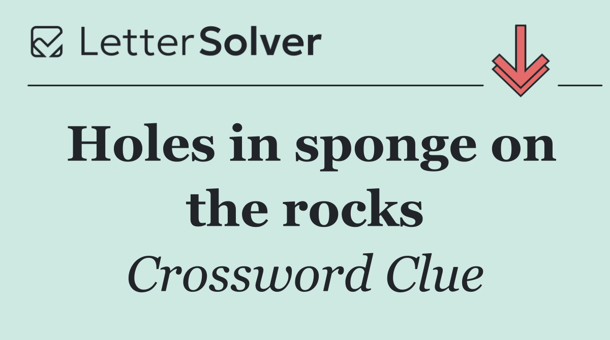 Holes in sponge on the rocks