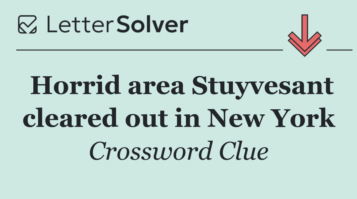Horrid area Stuyvesant cleared out in New York