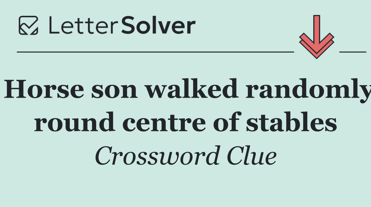 Horse son walked randomly round centre of stables