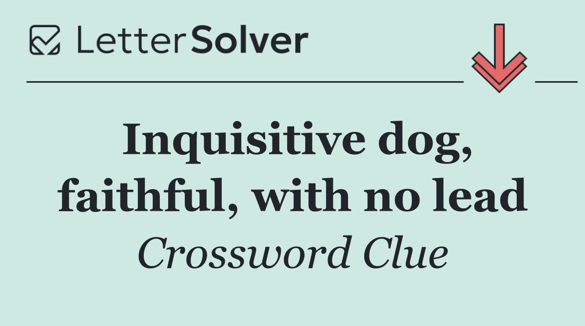 Inquisitive dog, faithful, with no lead