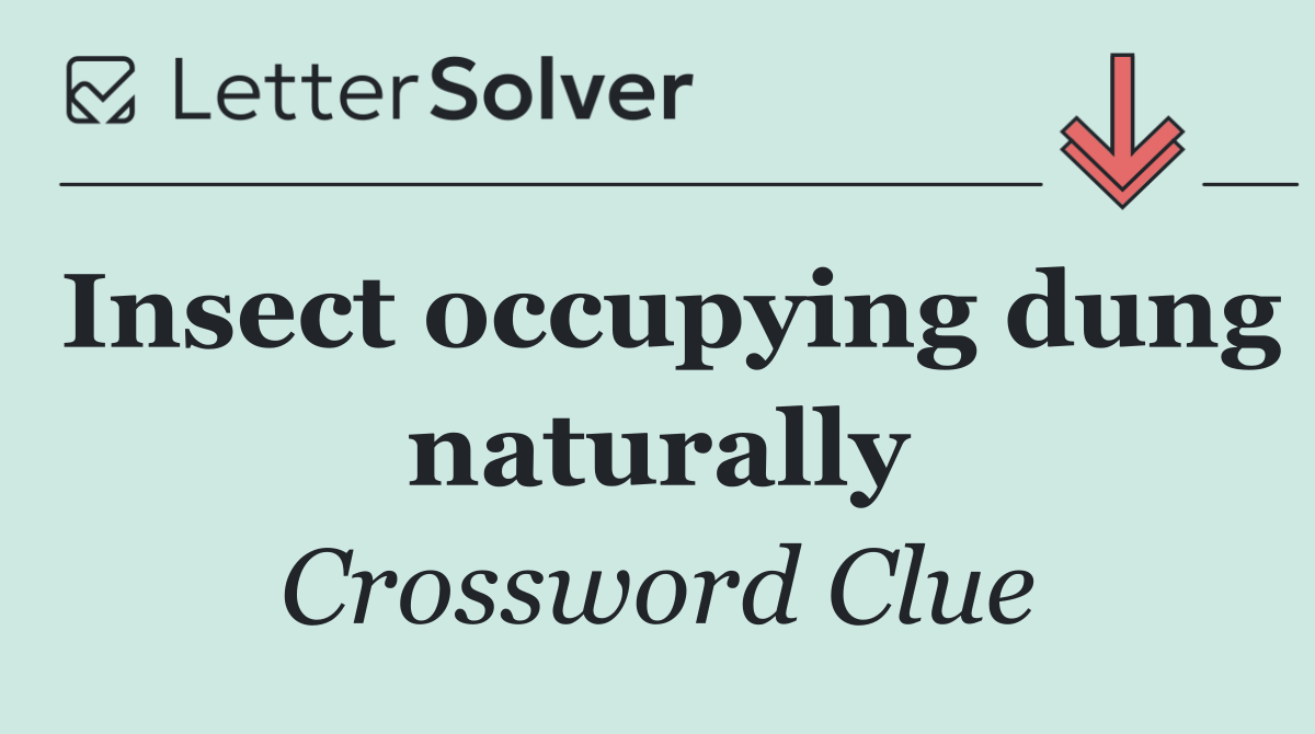 Insect occupying dung naturally