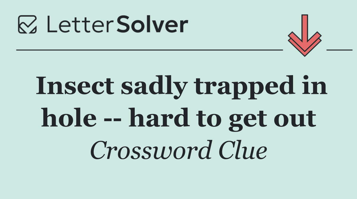 Insect sadly trapped in hole    hard to get out