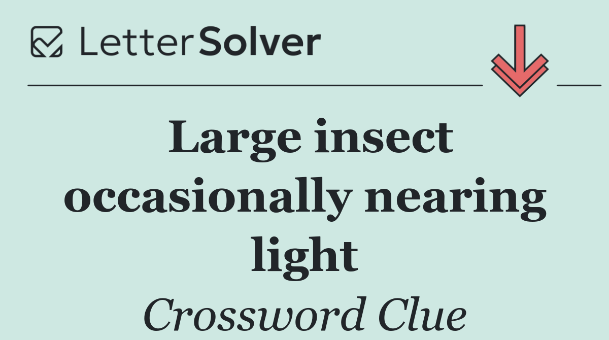 Large insect occasionally nearing light