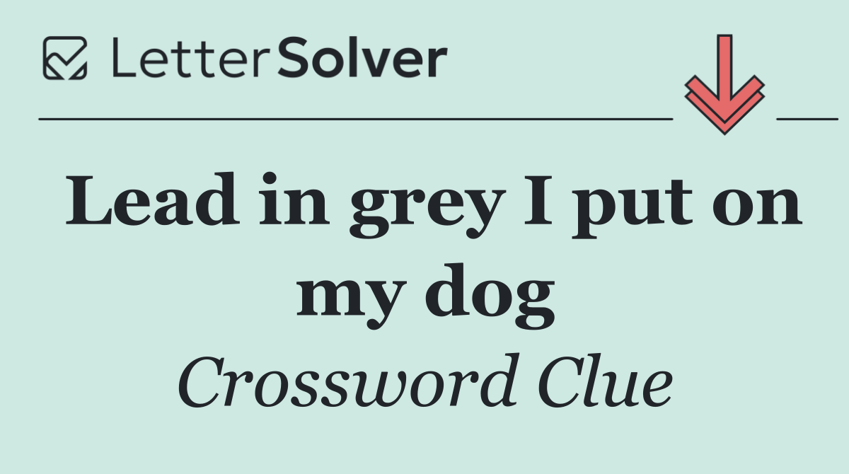 Lead in grey I put on my dog