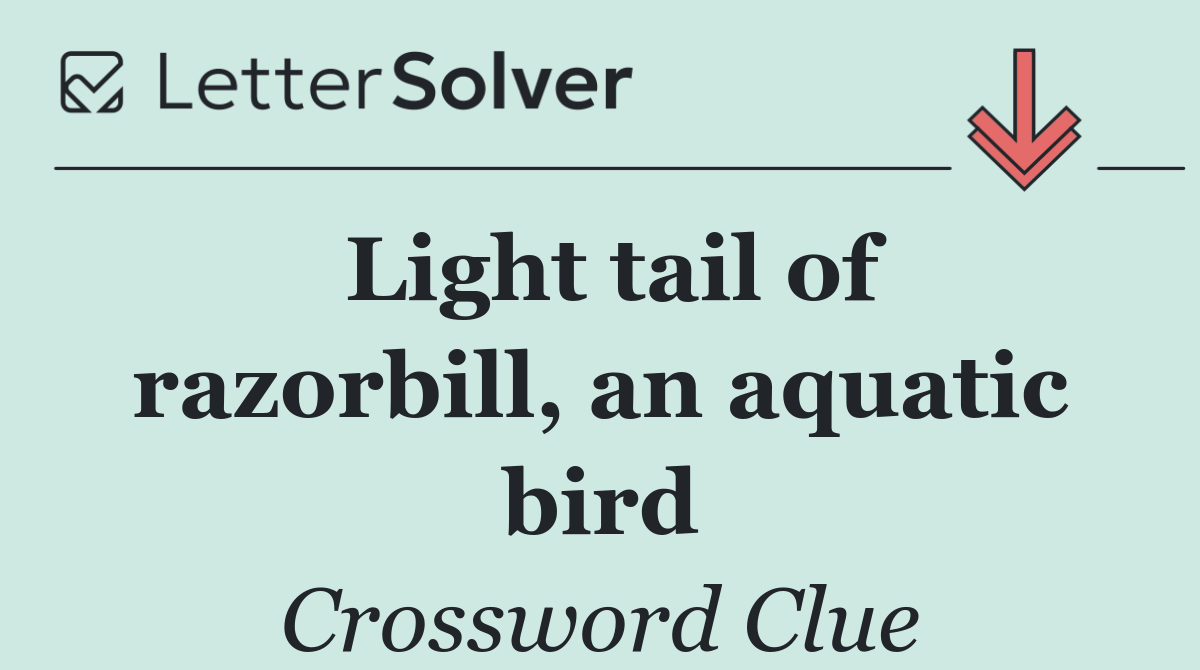 Light tail of razorbill, an aquatic bird
