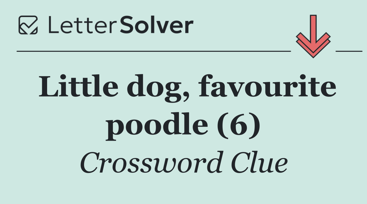 Little dog, favourite poodle (6)