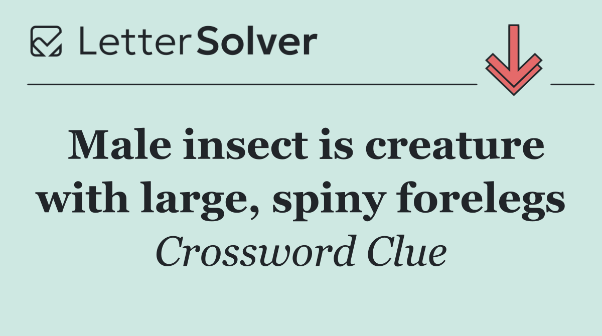 Male insect is creature with large, spiny forelegs