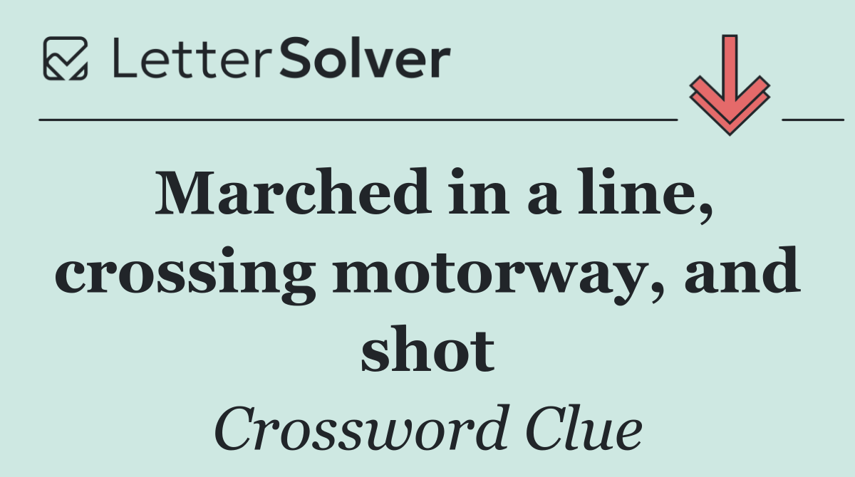 Marched in a line, crossing motorway, and shot