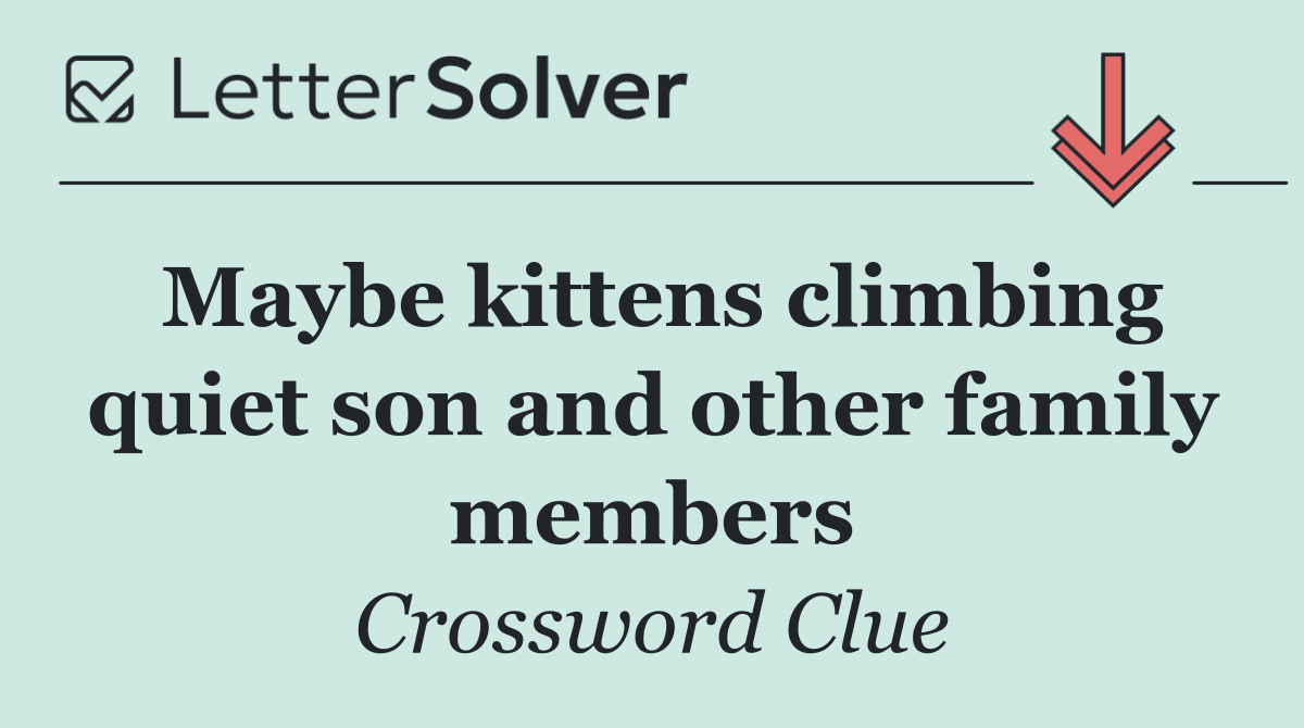 Maybe kittens climbing quiet son and other family members