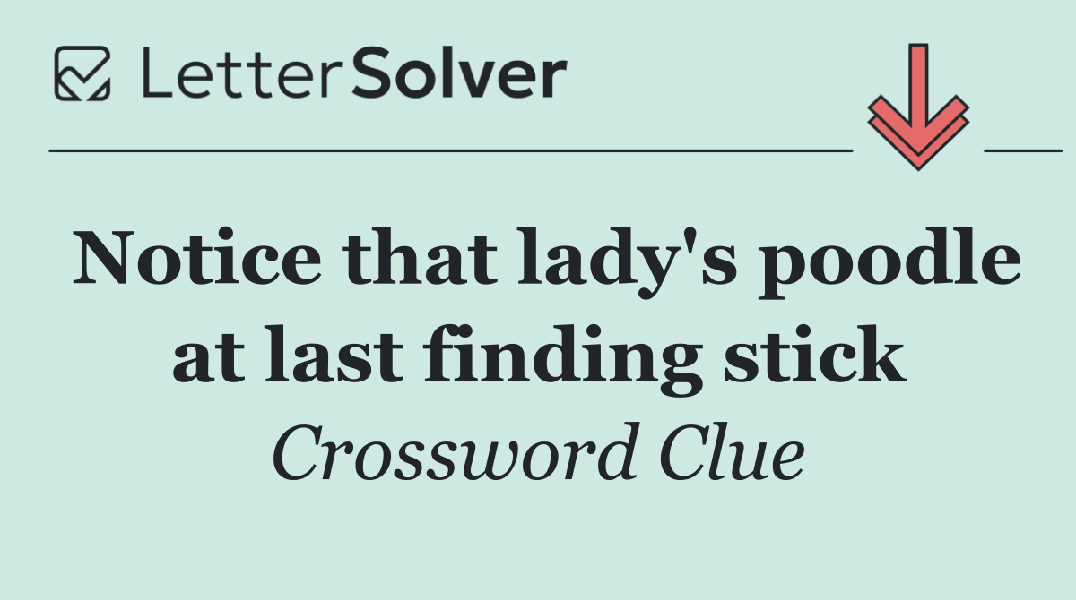 Notice that lady's poodle at last finding stick