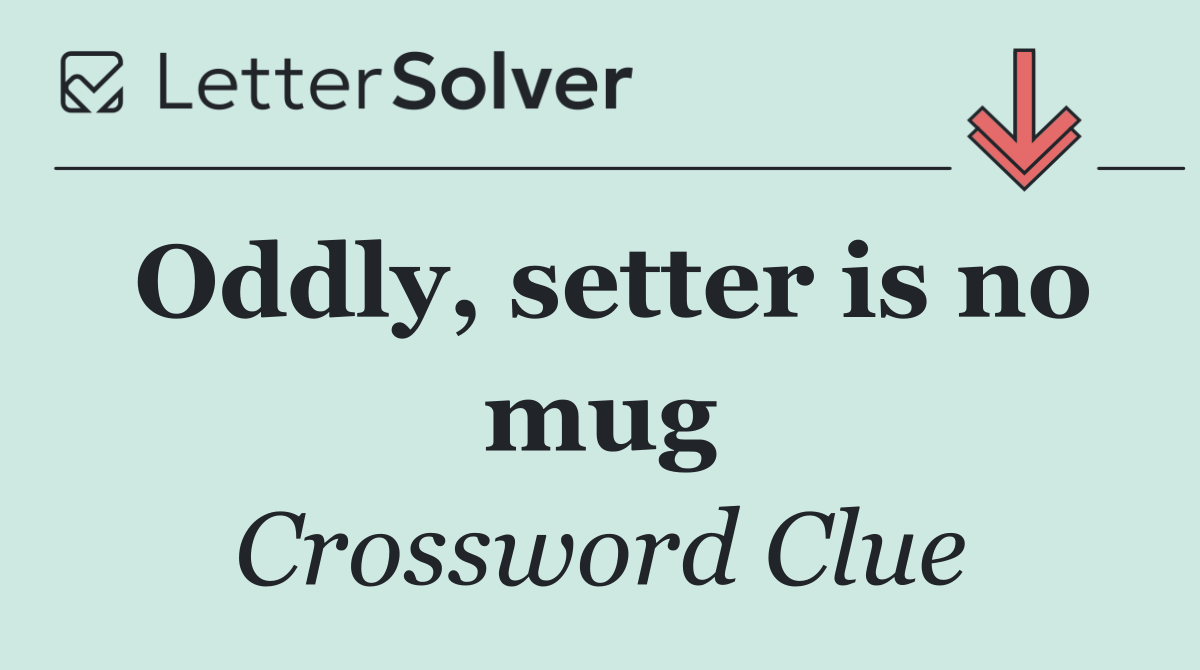 Oddly, setter is no mug