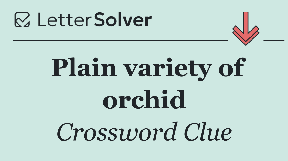 Plain variety of orchid