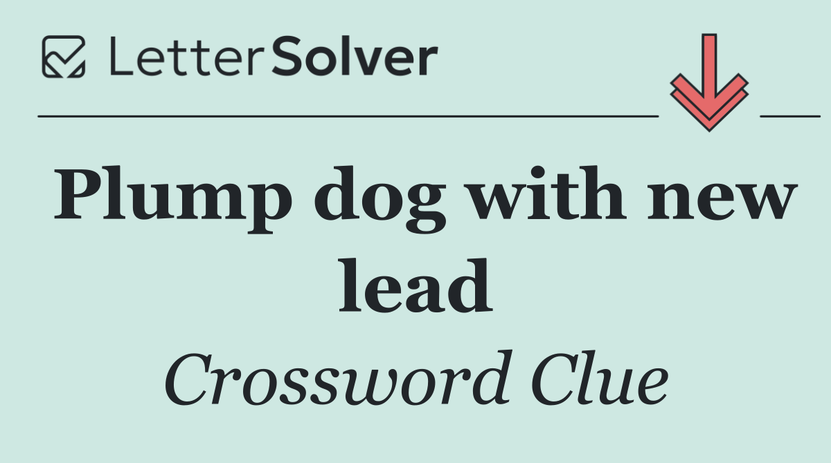 Plump dog with new lead