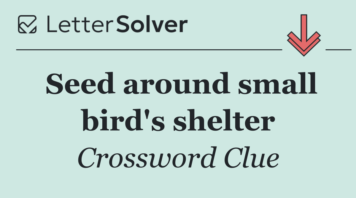 Seed around small bird's shelter