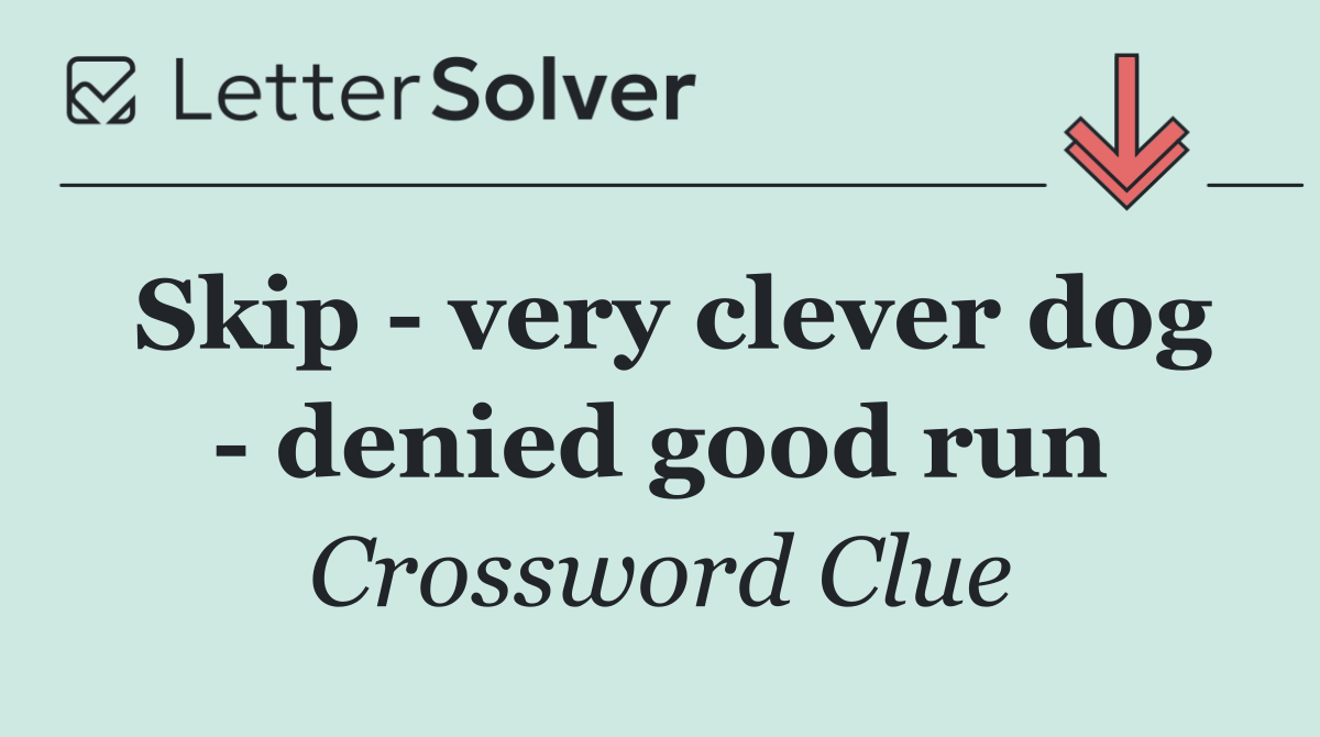 Skip   very clever dog   denied good run