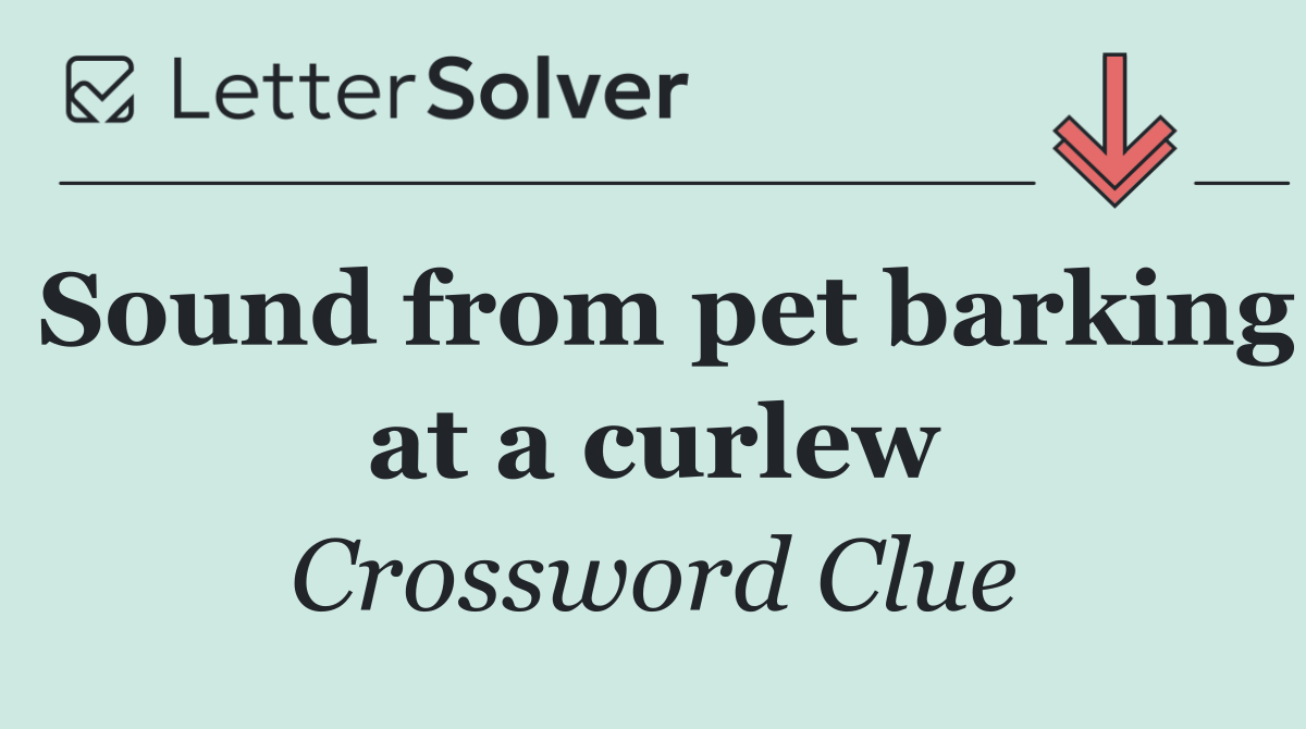 Sound from pet barking at a curlew