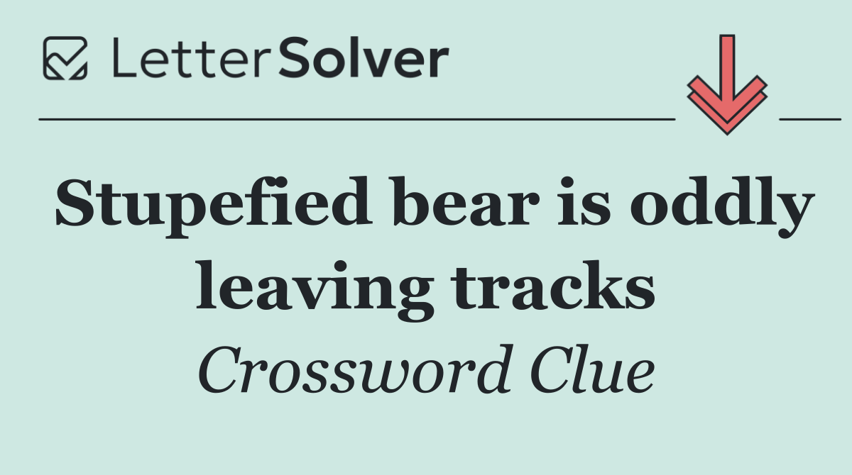 Stupefied bear is oddly leaving tracks