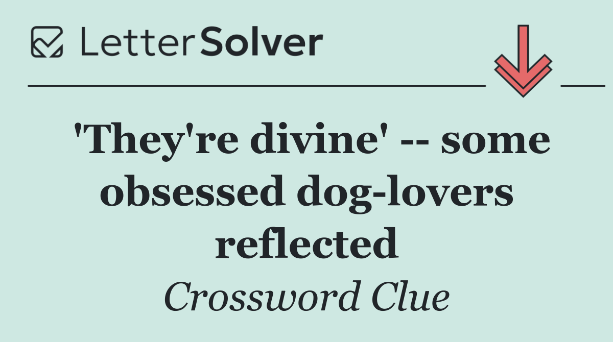 'They're divine'    some obsessed dog lovers reflected