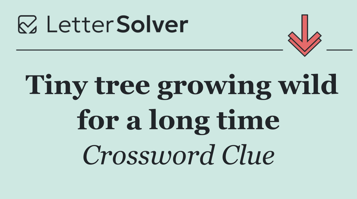 Tiny tree growing wild for a long time