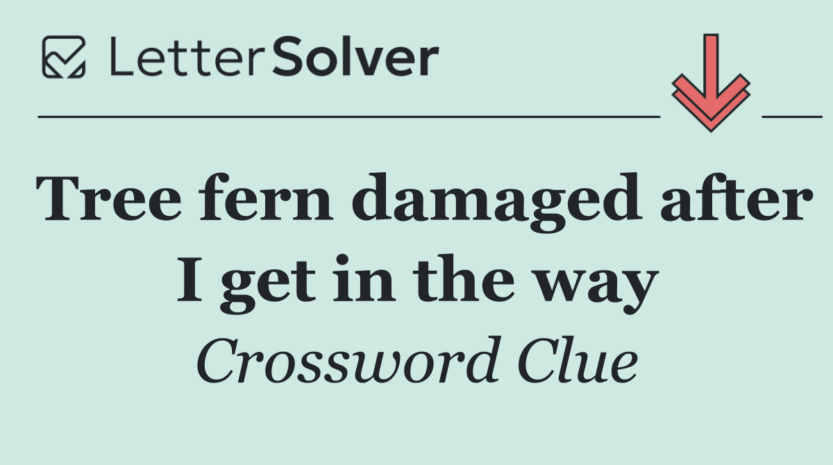 Tree fern damaged after I get in the way