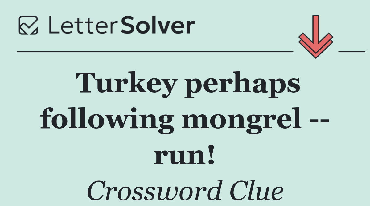 Turkey perhaps following mongrel    run!