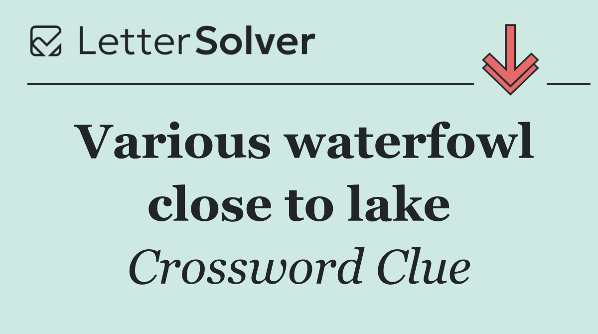 Various waterfowl close to lake