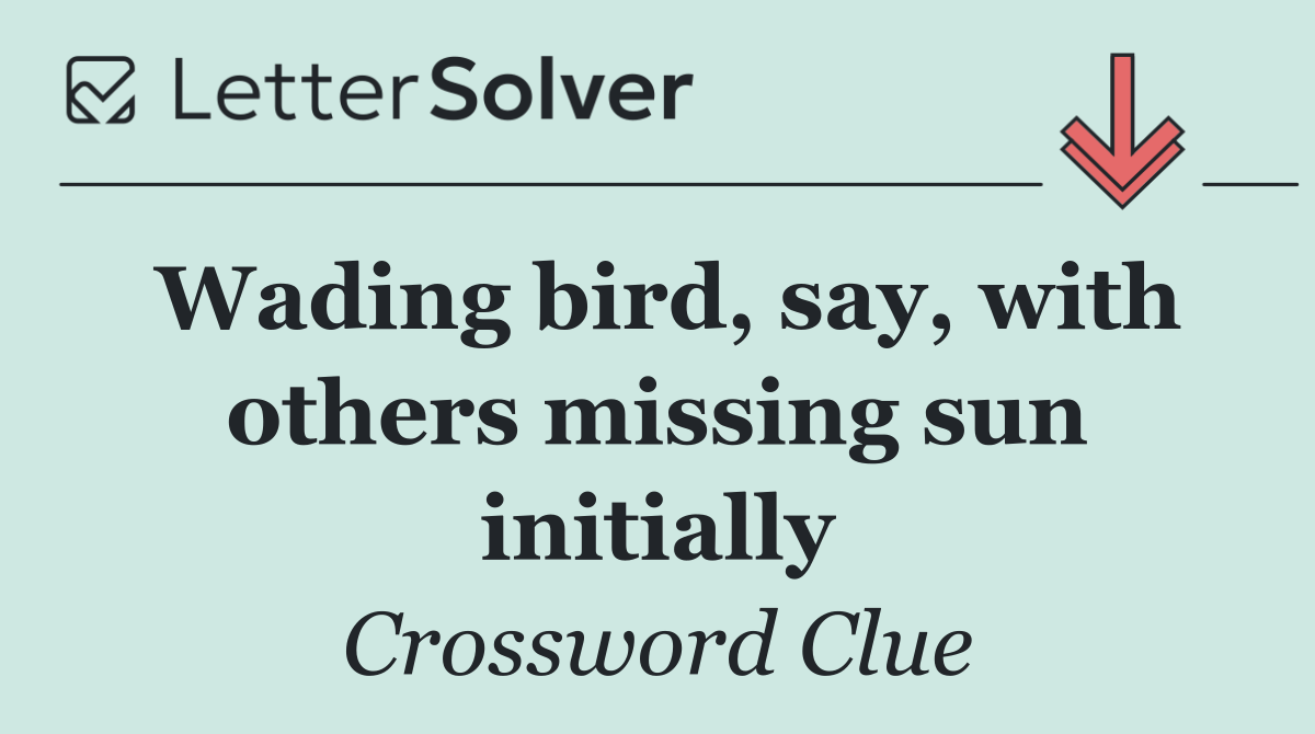 Wading bird, say, with others missing sun initially