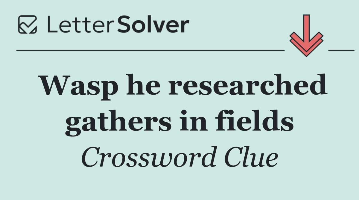 Wasp he researched gathers in fields