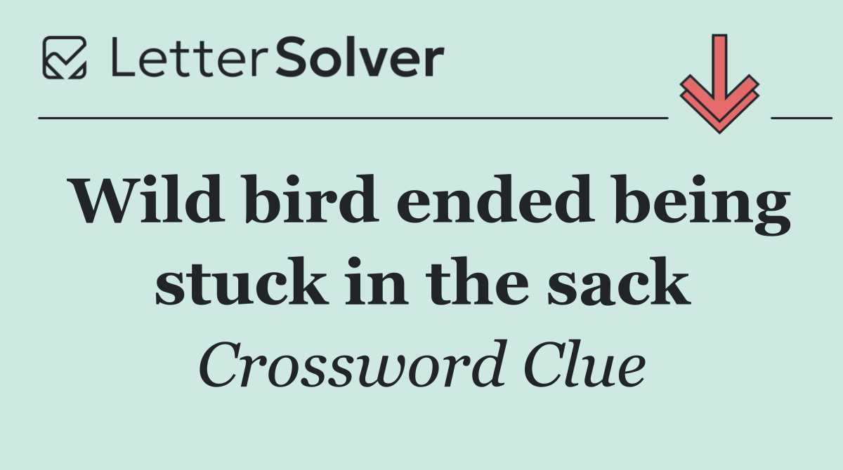 Wild bird ended being stuck in the sack