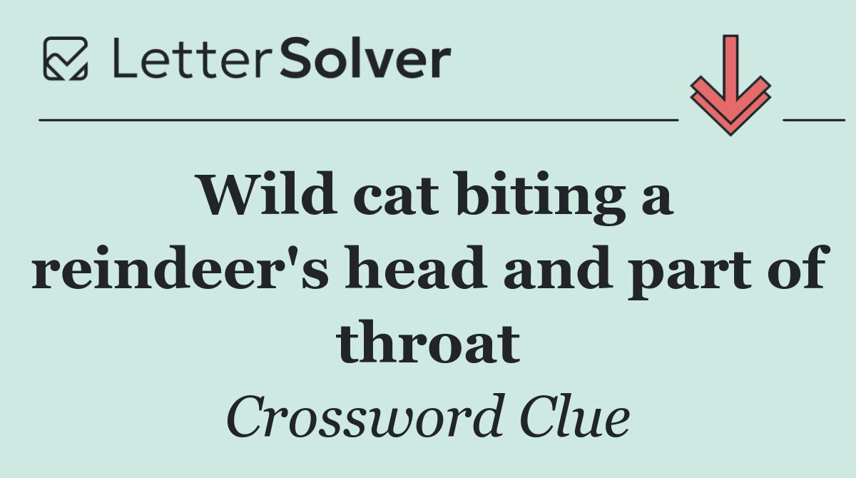Wild cat biting a reindeer's head and part of throat