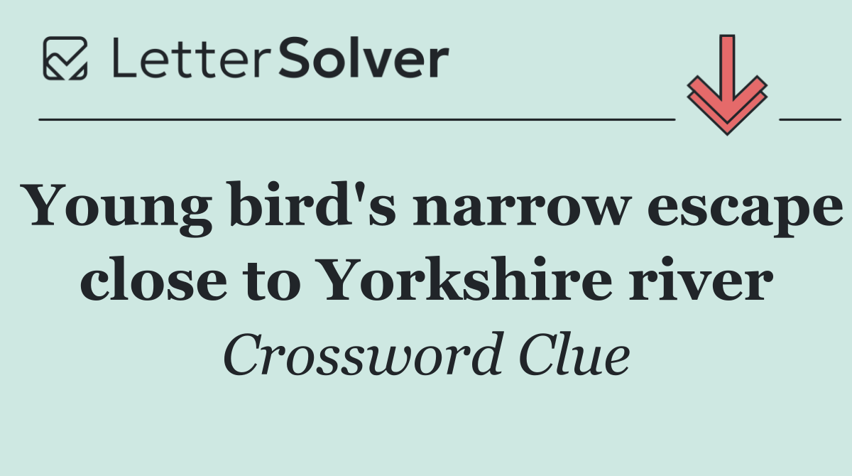 Young bird's narrow escape close to Yorkshire river
