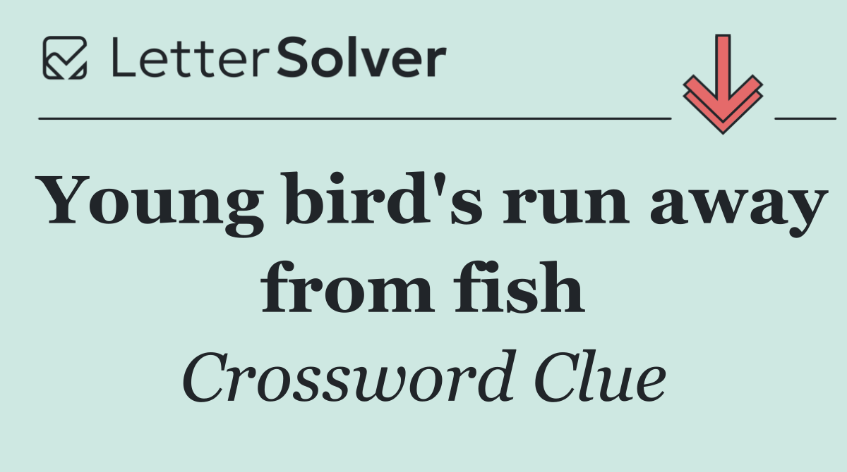 Young bird's run away from fish