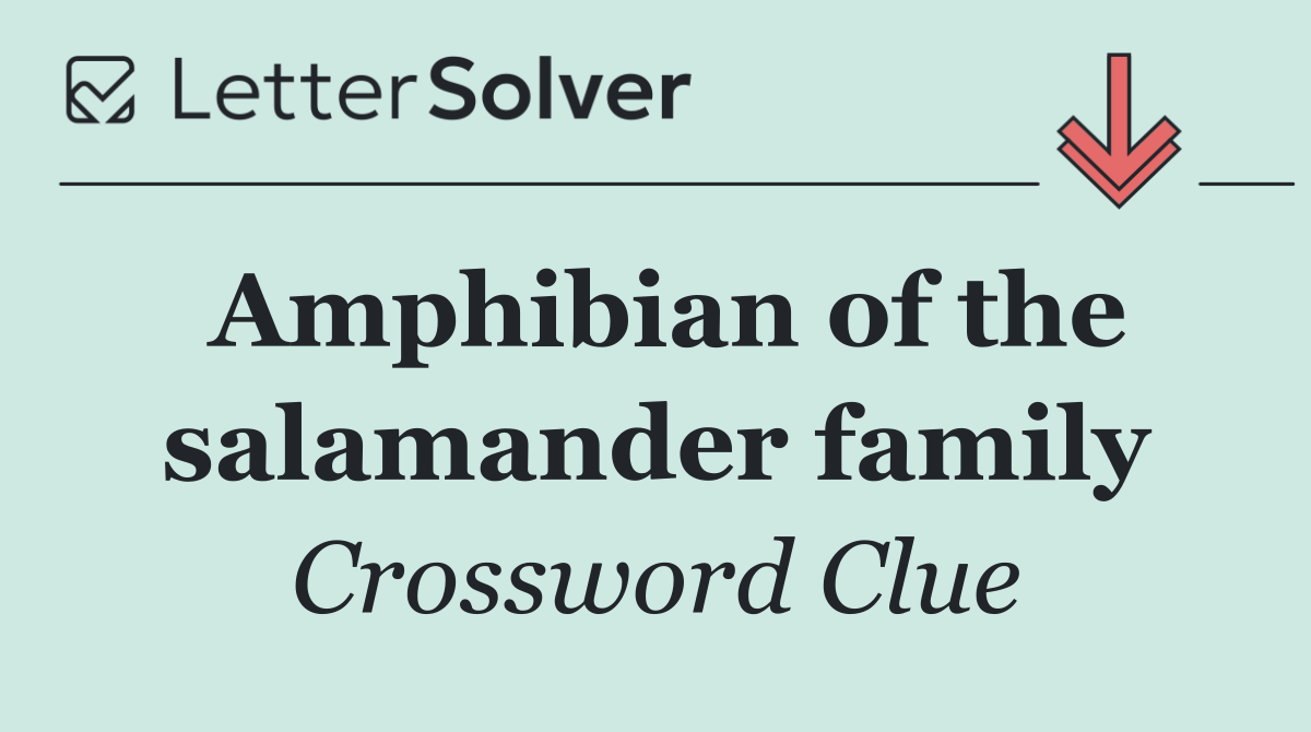Amphibian of the salamander family