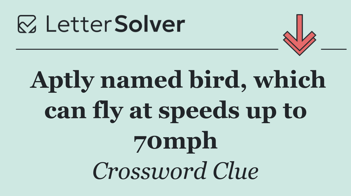 Aptly named bird, which can fly at speeds up to 70mph