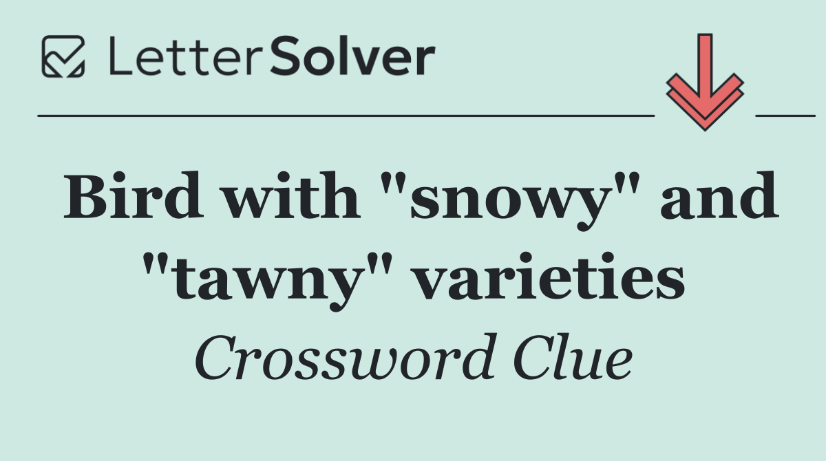 Bird with "snowy" and "tawny" varieties