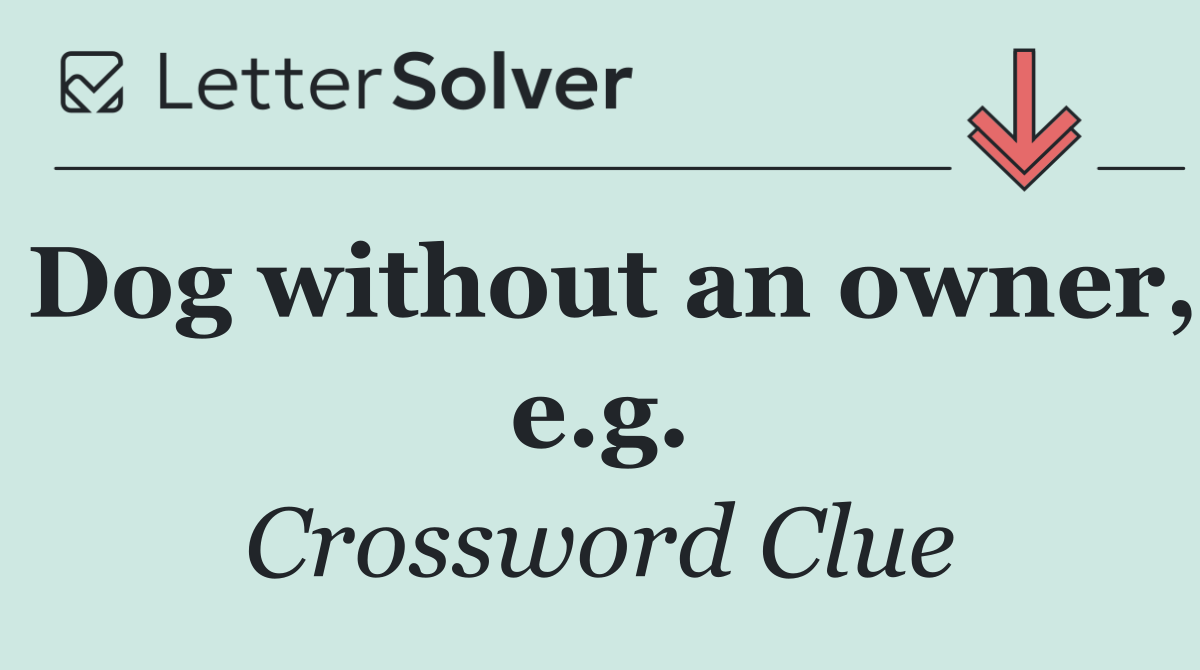 Dog without an owner, e.g.