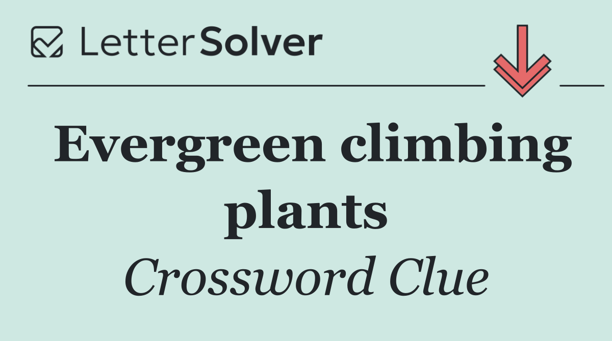 Evergreen climbing plants