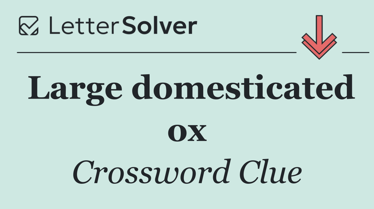 Large domesticated ox