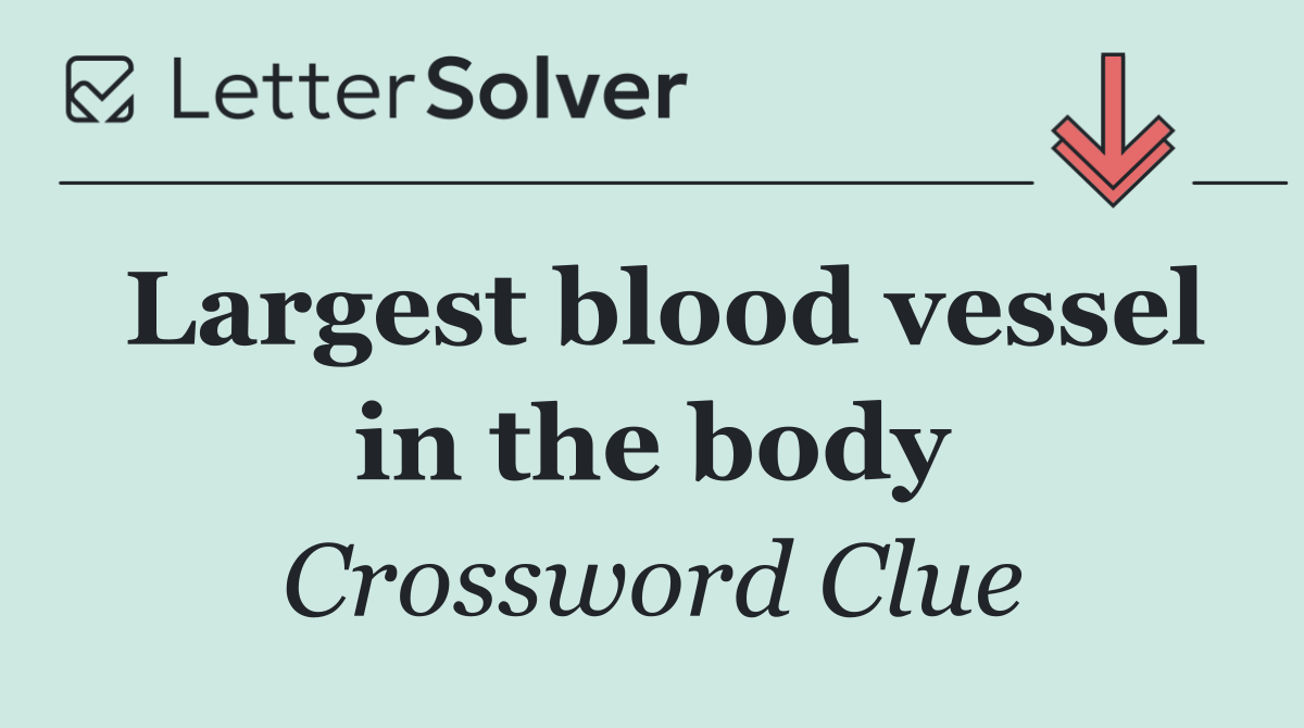 Largest blood vessel in the body