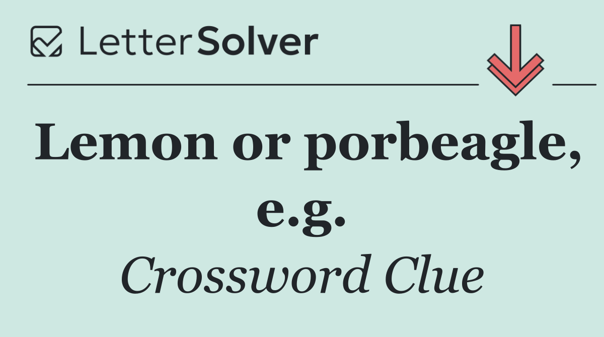 Lemon or porbeagle, e.g.